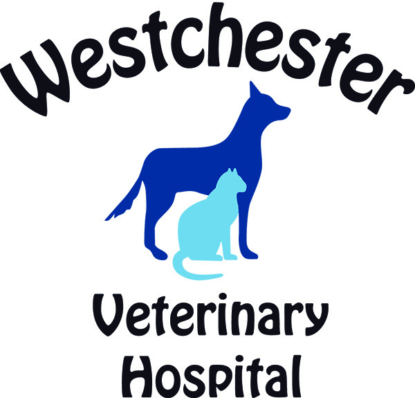 Animal Clinic in High Point - Westchester Veterinary Hospital